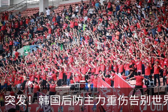 突发！韩国后防主力重伤告别世界杯，24岁全北中卫紧急补位顶替